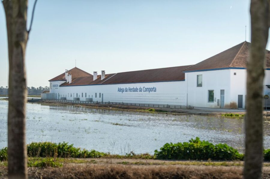 Visit Herdade Da Comporta Winery - Overview of Activity