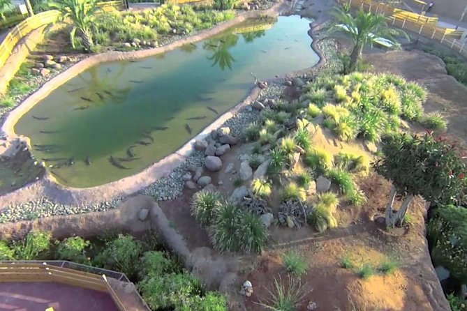 Visite the Crocodiles Park and Botanic Garden