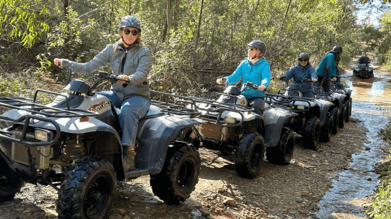 3 Best 1 Hour Tours and Experiences in Franschhoek