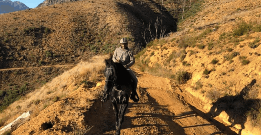 Vrede En Lust Wine Estate: 1h30m Horse Trail Ride