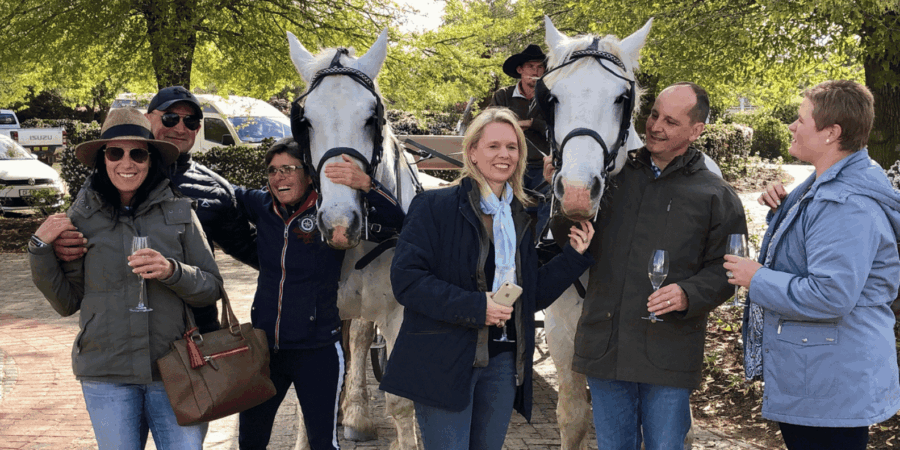 6 Best 2 Hour Tours and Experiences in Franschhoek