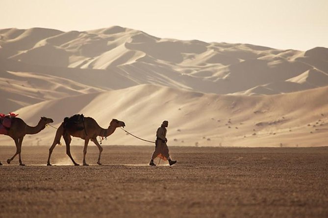 Wahiba Sands&Wadi Bani Khalid Desert Safari(Muscat Tours) : Private Tours