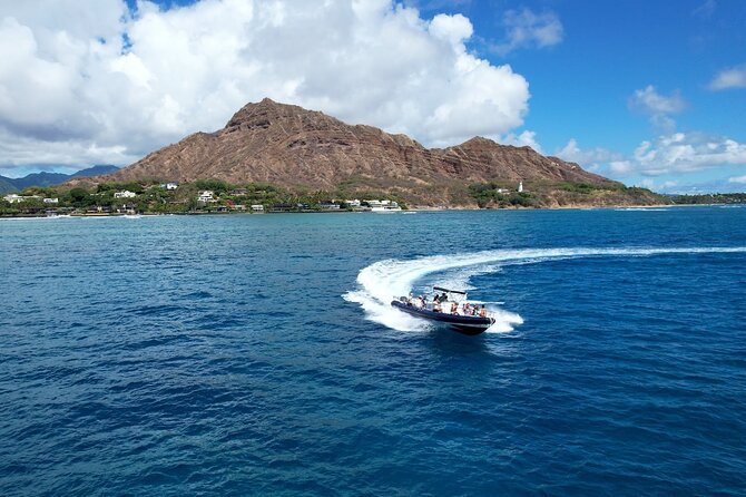 Waikiki Whale Watch & Ocean Rafting Tour (Small-group)
