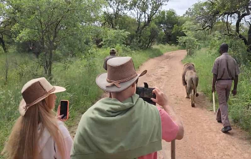 Walk With Lions
