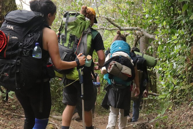 Waterfall Hike - Overview of the Hike