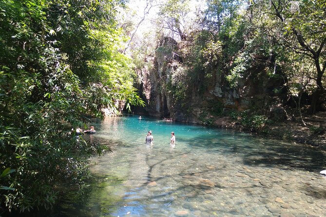 Waterfall Swim Natural Pools+ Hot Springs Mud Bath + Lunch