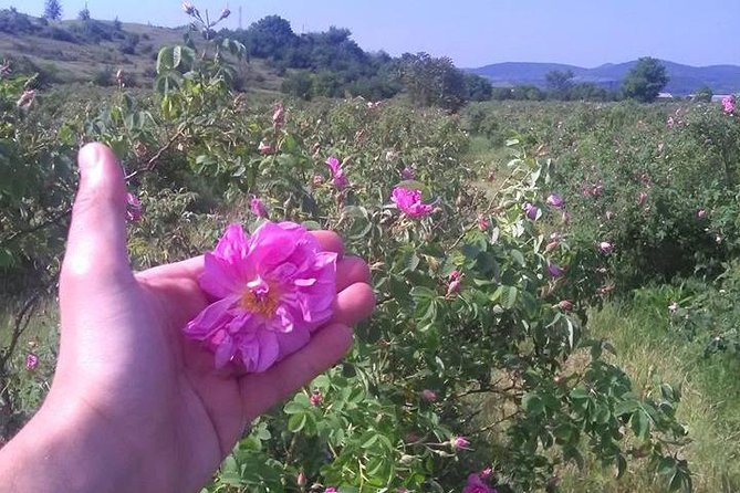 Weekend in Bulgaria