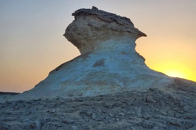 West Coast Tour in Zekreet Peninsula From Qatar