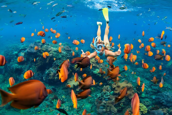 West Nusa Penida Island Snorkeling Tour - From Bali Island
