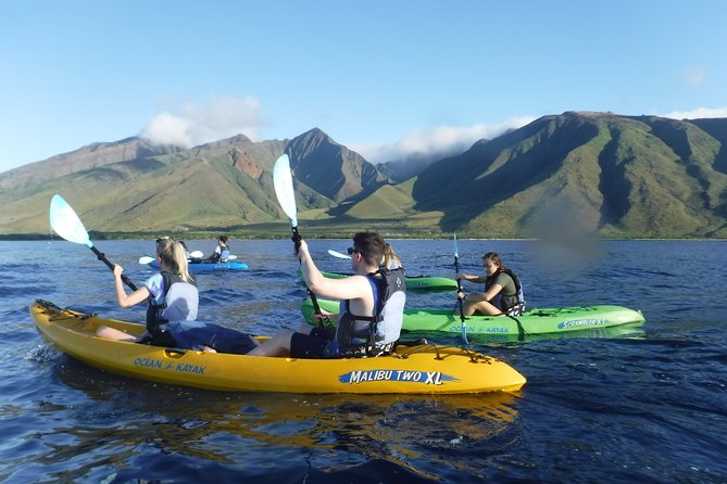 West Side Discovery Kayak & Snorkel Tour - Activity Description
