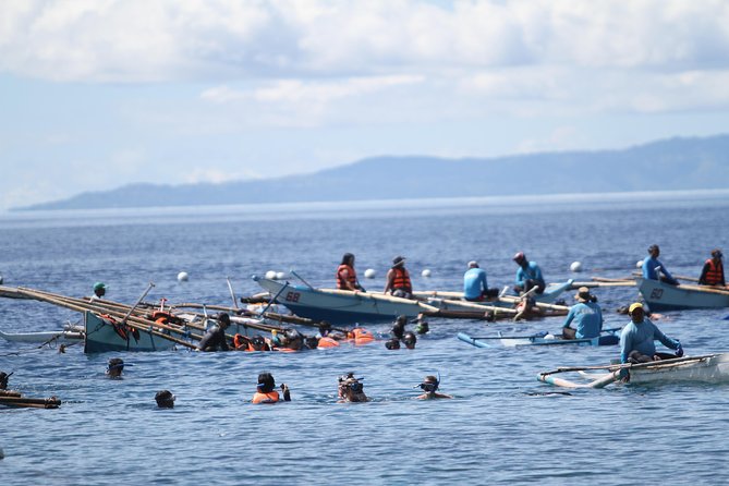 Whale Shark Swimming Experience and Aguinid Falls From Cebu - Whale Shark Watching