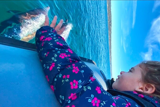 Whale Watching San Diego: Private Charter Experience - Overview of the Charter