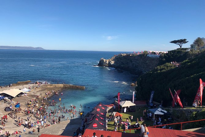 Whale Watching Tour in Hermanus With Hotel Pickup