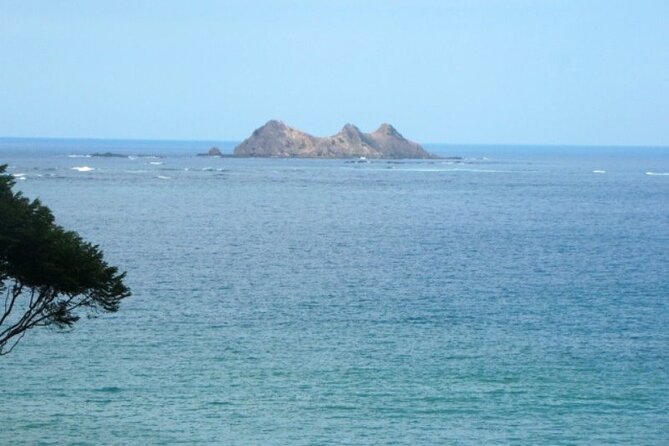 Whales and Dolphins Watching Tour From Manuel Antonio