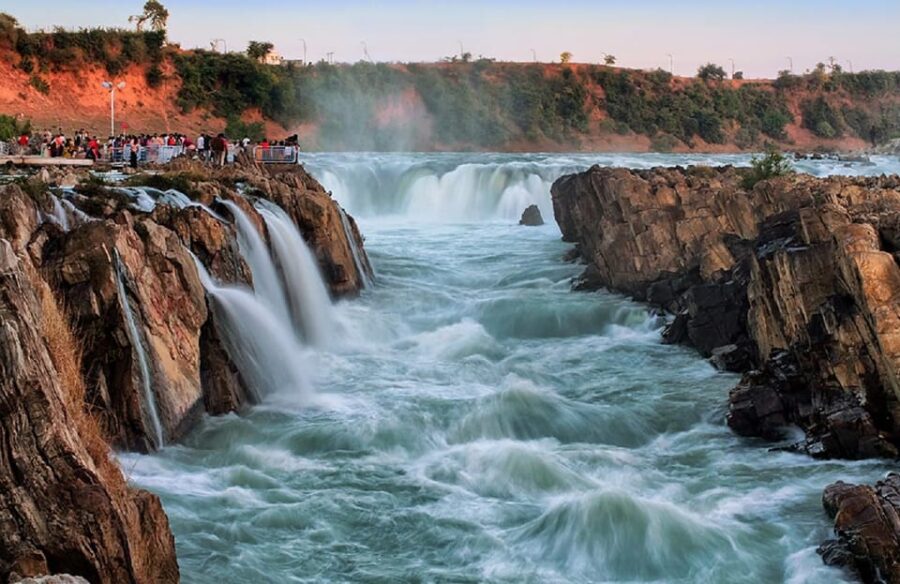 4 Best National Park Tours In Madhya Pradesh