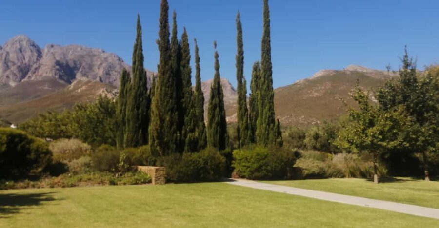 Whole Day Cape Point Tour-13 Point of Interest in One Day - Scenic Coastal Drive