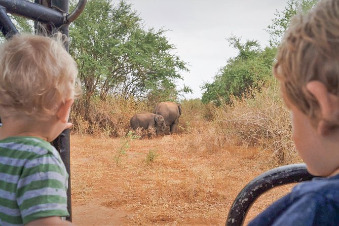 Wild Elephant Safari in Minneriya National Park