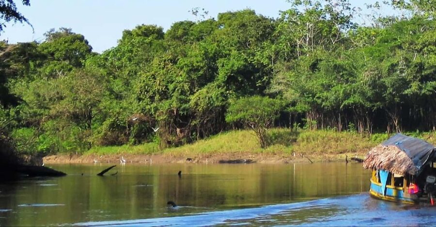 Wild Exploration: Adventure in Pacaya-Samiria