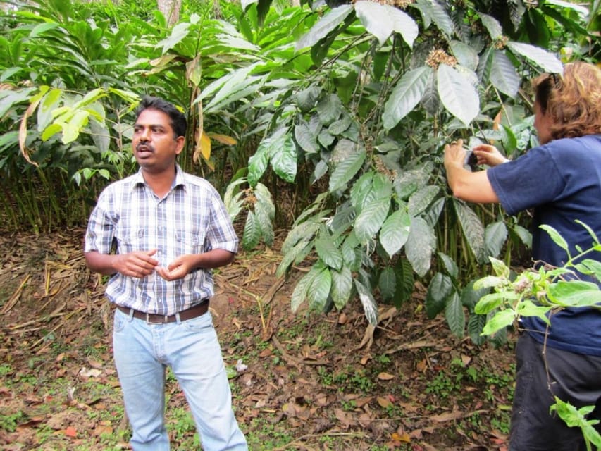 Wilderness & Culture: One Day Tour of Thekkady With Jeep !!