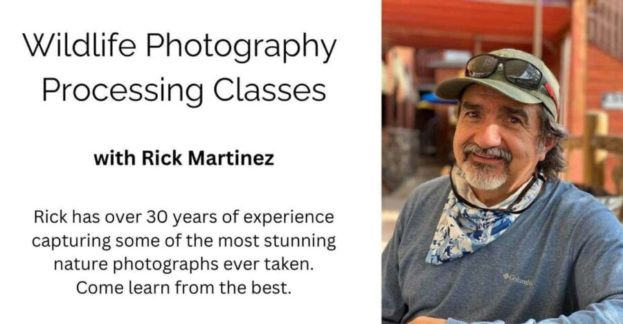 Wildlife Photography Processing Class - Course Overview