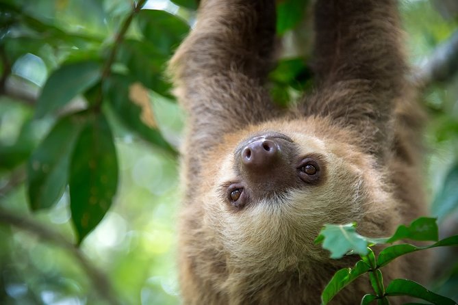 Wildlife Rescue Center. Private Tour