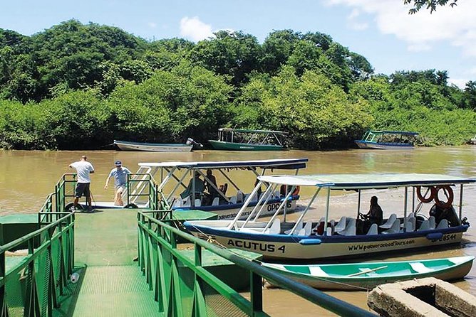 Wildlife River Boat Safari & Cultural Experience.