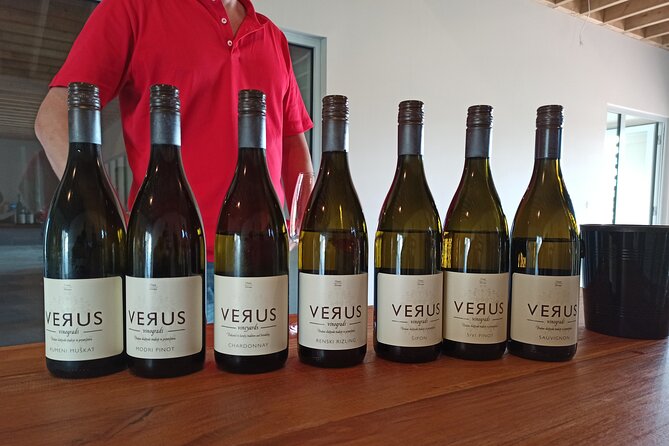 Wine and Culinary Adventure in Jeruzalem - Full Day Tour From Ljubljana or Ptuj