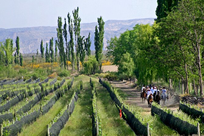 Wine Paths