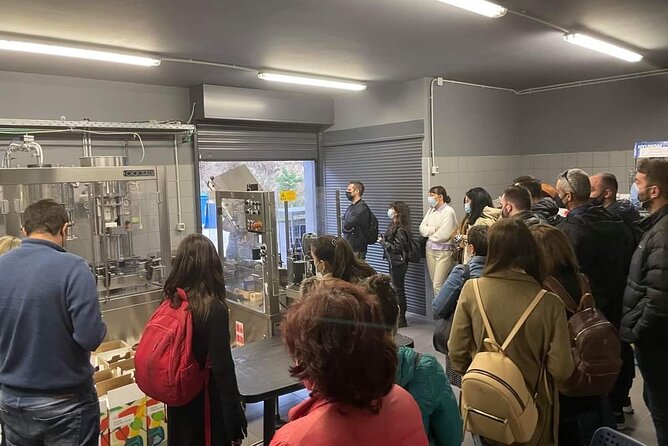 Wine Raki Olive Oil Tasting and Pottery – Small Group
