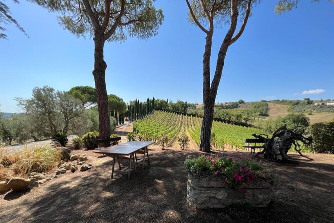 Wine Tasting and History Guided Day Tour in Chianti - Tour Overview