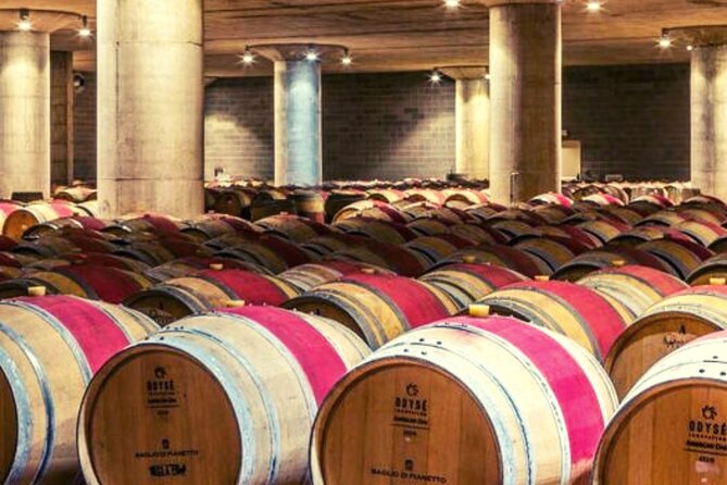 Wine Tasting for Small Groups in the Palermo Countryside