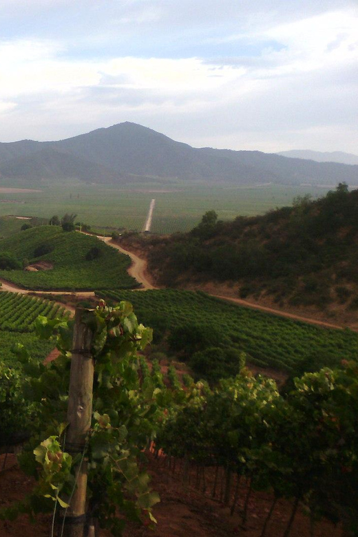 WINE TOUR - CASABLANCA VALLEY