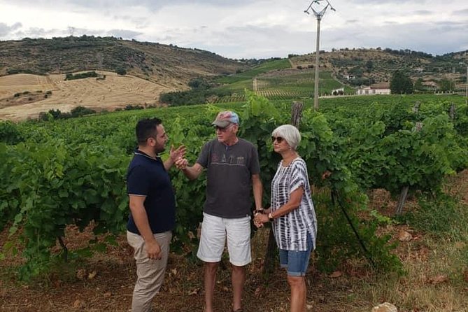 Wine Tour in Calabria – Tenuta Celimarro Winery