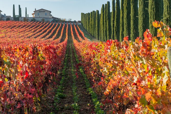 Wine Tour in Umbria Along the Sagrantino Trail With Light Lunch