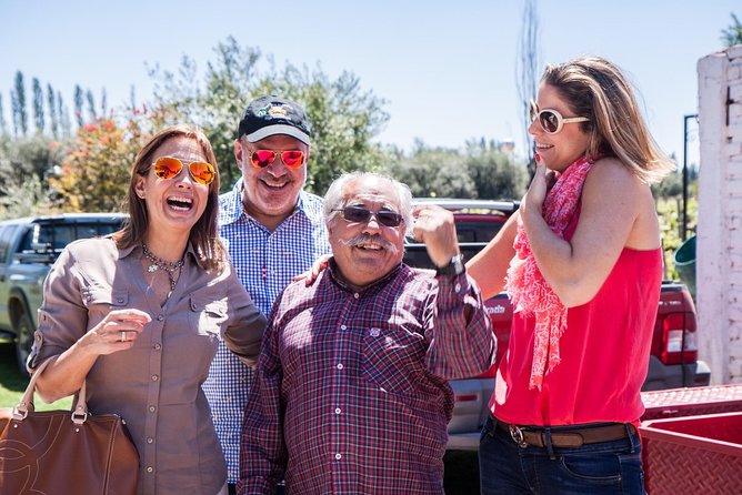 Winemaker-Led Private Exclusive Wine Tour – Gourmet Lunch