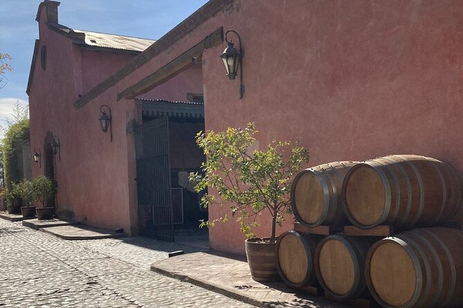 WINERIES DAY in Lujan and Maipú Zone With PRIVATE DRIVER