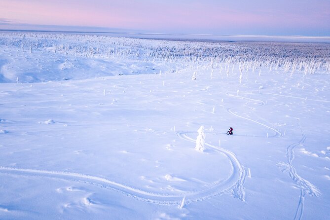 Winter Afternoon Group Ride in Saariselkä - What to Expect