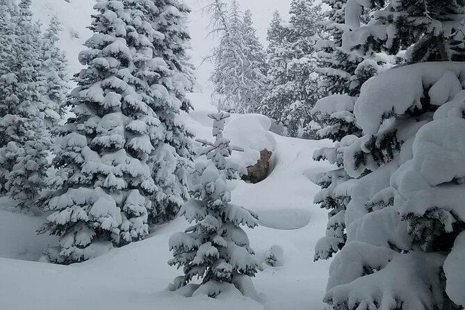 Womens Snowshoeing Tour Mills Lake Rocky Mountain National Park