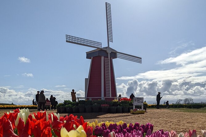 Wooden Shoe Tulip Festival