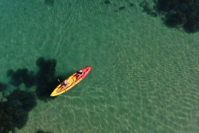 WWF Kayak Tour From Cala Manbrù to Torre Salsa Reserve