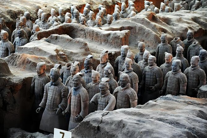 Xian Highlights Private Day Tour: Terracotta Warriors, City Wall