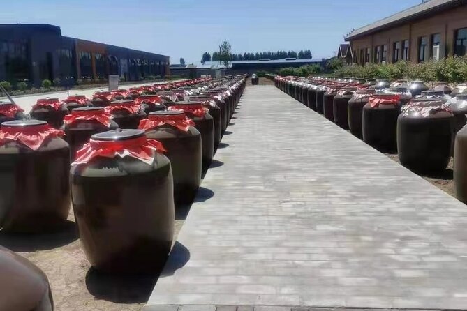 Xian Tours of Bronze Ware of Zhou&Qin QiShan Noodles