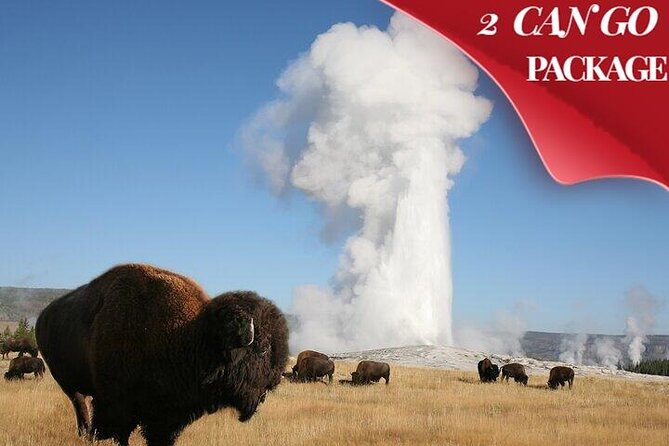 Yellowstone & Grand Teton National Parks: Small Group 4-Day Tour