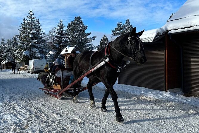 Zakopane Tour From Krakow With Thermal SPA and Hotel Pick up
