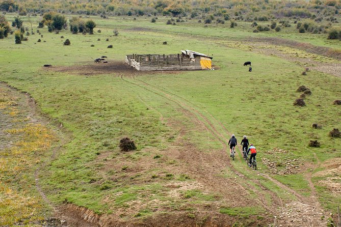 Zasavica Bike Tour