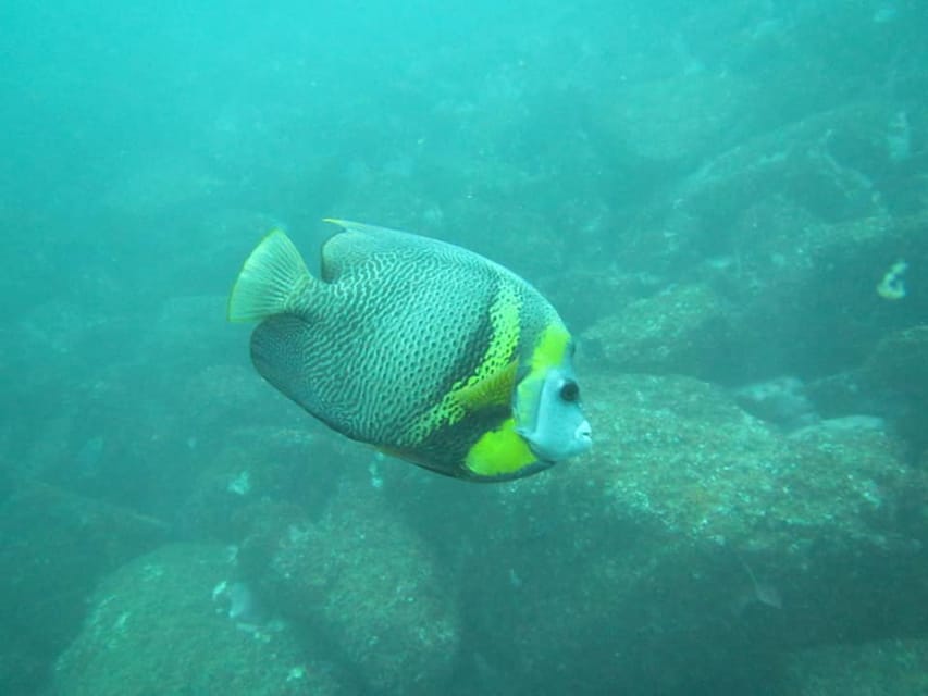 Zihuatanejo: Snorkeling in Manzanillo and Las Gatas - Snorkeling Expedition Overview