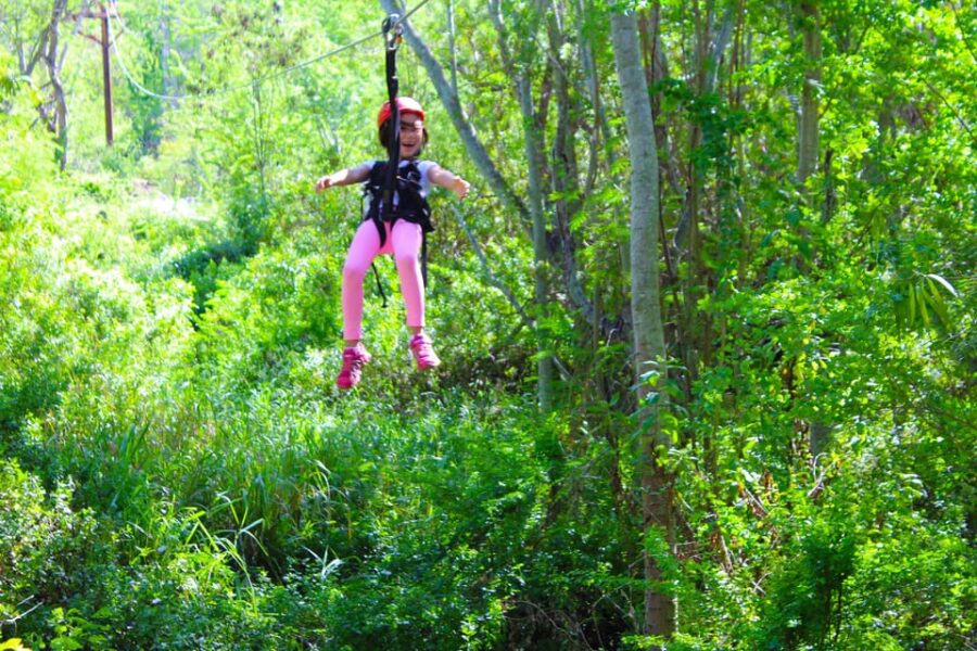 Zip & Dip: 3 Ziplines + Wet N Wild Hawaii Waterpark