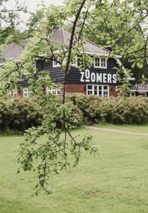 Zoomers in the Forest - Exploring the Hotel