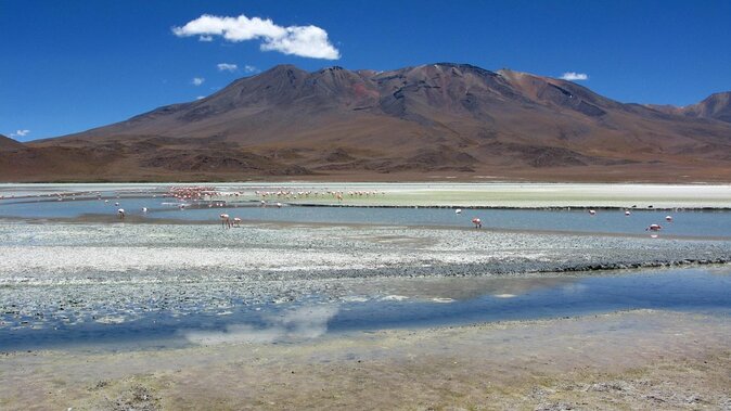 2-Day Private Tour Uyuni Salt Flats Including Tunupa Volcano