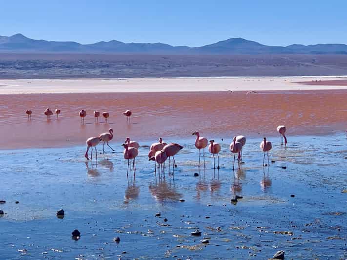 2-Days Salar De Uyuni Including Laguna Colorada